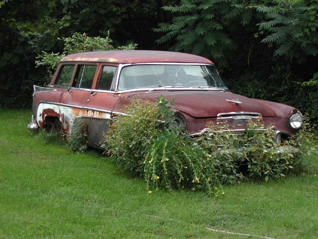 DSCN3808a (Zack's Garden)